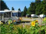 RVs and trailers at campground at THOUSAND TRAILS SEASIDE - thumbnail