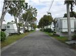 Road leading into campground at BOARDWALK RV RESORT - thumbnail