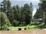 One of the many grassy areas at EAGLE CREEK RV RESORT - thumbnail