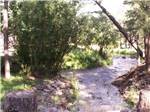 A small stream running thru the campsites at EAGLE CREEK RV RESORT - thumbnail