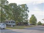A row of shaded RV sites at SCENIC MOUNTAIN RV PARK & CAMPGROUND - thumbnail