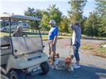 A couple walking their dogs at SCENIC MOUNTAIN RV PARK & CAMPGROUND - thumbnail