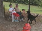 An elderly couple playing with dogs at SCENIC MOUNTAIN RV PARK & CAMPGROUND - thumbnail