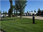 A grassy area next to the gravel road at CAMP 'N CLASS RV PARK - thumbnail
