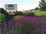 Purple flowers in front of the main sign at BERLIN RV PARK & CAMPGROUND - thumbnail