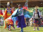 Young kids dressed in Indian garments at THE HILL CAMPGROUND - thumbnail
