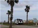 A row of back in RV sites at SANDPIPER RV RESORT - thumbnail