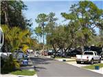 Golf cart on paved road lined with RV sites at SEMINOLE CAMPGROUND - thumbnail