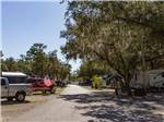 A paved road running alongside of campsites at SEMINOLE CAMPGROUND - thumbnail