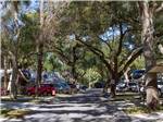 A shady paved road with campsites at SEMINOLE CAMPGROUND - thumbnail