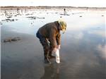 A man digging for clams at OCEAN PARK RESORT - thumbnail