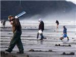 A group of people digging for clams at OCEAN PARK RESORT - thumbnail