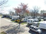 RVs and trailers at campground at SPRINGWOOD RV PARK - thumbnail