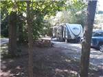 RV site in the trees with a trailer at DUNROAMIN' TRAILER PARK & COTTAGES - thumbnail
