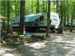 A travel trailer in a shady RV site at WOODLAND PARK - thumbnail