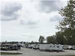 RV campground bordered by trees at RUSTIC MEADOWS RV PARK - thumbnail
