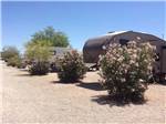 Trailers camping at CRAZY HORSE RV CAMPGROUNDS - thumbnail
