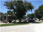 A row of gravel RV sites at RIO GUADALUPE RESORT - thumbnail
