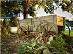 An old wooden wagon in a planter at SOUTHERN TRAILS RV RESORT - thumbnail