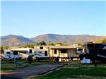Some of the campsites at VERDE RIVER RV RESORT & COTTAGES - thumbnail