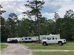 A row of travel trailers at WILDERNESS RV PARK - thumbnail