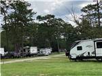 A travel trailer parked in a grassy site at WILDERNESS RV PARK - thumbnail