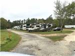 RVs parked at campground at WILDERNESS RV PARK - thumbnail