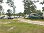 RVs and trailers at campground at WILDERNESS RV PARK - thumbnail