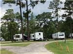 The road going to the grassy sites at WILDERNESS RV PARK - thumbnail