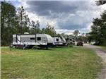 A row of trailers in grassy sites at WILDERNESS RV PARK - thumbnail