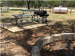 Picnic tables and a meat smoker at PEACH COUNTRY RV PARK - thumbnail
