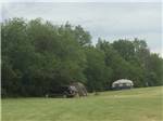 Tents in a grassy area at GLENWOOD RV RESORT - thumbnail