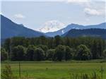 Mount Rainier looms above green meadow and forest at RAINIER WINGS / PACKWOOD RV PARK - thumbnail