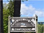 Packwood RV Park sign with picture of bear at RAINIER WINGS / PACKWOOD RV PARK - thumbnail