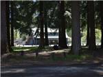 View of two-story campground building through trees at RAINIER WINGS / PACKWOOD RV PARK - thumbnail