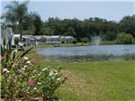 The lake with homes around it at FOREST LAKE VILLAGE RV RESORT - thumbnail