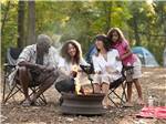A family sitting around a fire pit roasting marshmallows at DESTINATION GETTYSBURG - thumbnail