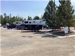 RVs parked in gravel sites near fir trees at BUFFALO CROSSING RV PARK - thumbnail
