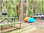 Kayaks leaning on a tree at one of the campsites at CHASSAHOWITZKA RIVER CAMPGROUND - thumbnail