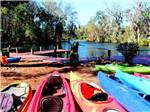 A group of kayaks on the shore at CHASSAHOWITZKA RIVER CAMPGROUND - thumbnail
