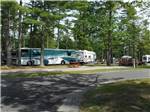Big rig in a treed site at OLD ORCHARD BEACH CAMPGROUND - thumbnail