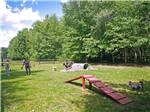 Fenced play area for dogs at OLD ORCHARD BEACH CAMPGROUND - thumbnail