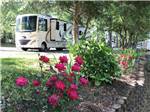 Flowers with large tan RV parked in background at KOUNTRY AIR RV PARK - thumbnail