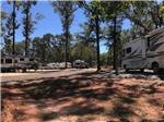 A motorhome parked next to an empty site at KOUNTRY AIR RV PARK - thumbnail