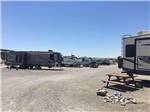 A row of travel trailers at HOMESTEAD RV PARK - thumbnail