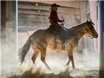 A man riding a horse at THE RV PARK AT ROLLING HILLS CASINO AND RESORT - thumbnail
