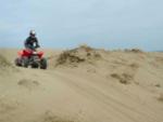 A person driving a ATV in the sand at NEW FRONTIER RV PARK - thumbnail