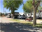 RVs and trailers at campground at ARABIAN RV OASIS - thumbnail