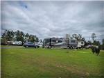 Motorhome in campsite at ALLIANCE HILL RV RESORT - thumbnail