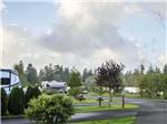 A line of paved RV sites at FRIENDS LANDING RV PARK - thumbnail